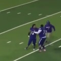 Hays County Football: The Most Successful Team in Texas